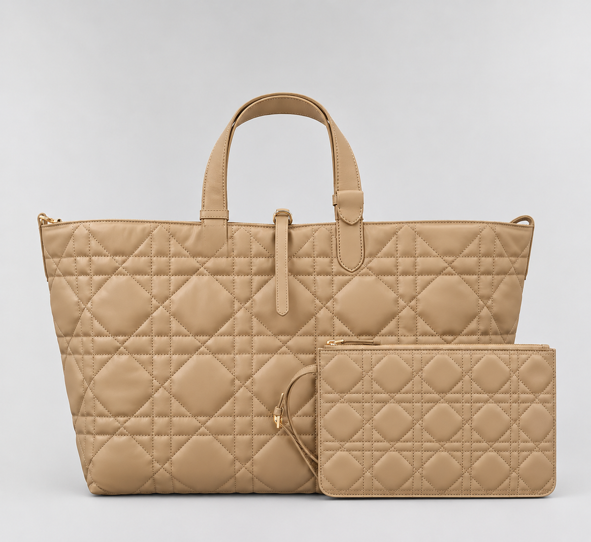 DIOR TOUJOURS BAG